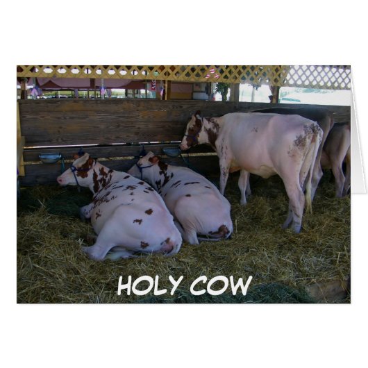 HOLY COW U JUST TURNED 50 (Front Horizontal)