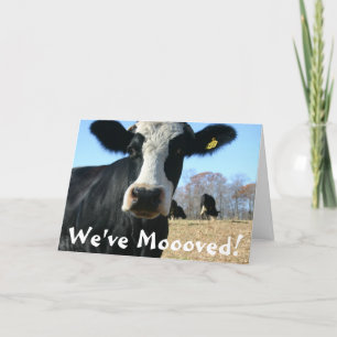 Holy Cow Weve Moved Announcement