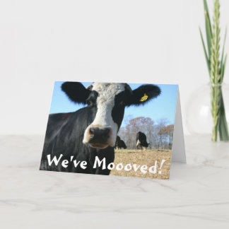 Holy Cow Weve Moved Announcement