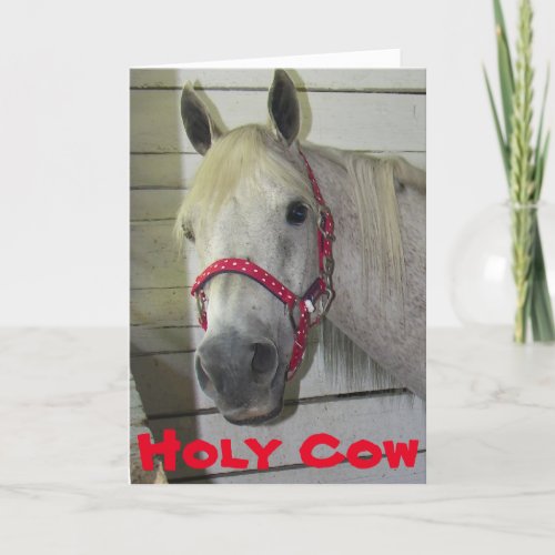 HOLY COW YOUNG FILLY 50th BIRTHDAY Card