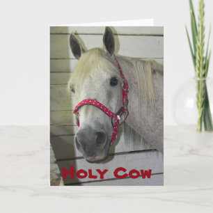 HOLY COW YOUNG FILLY HAPPY BIRTHDAY-ADULT BIRTHDAY CARD