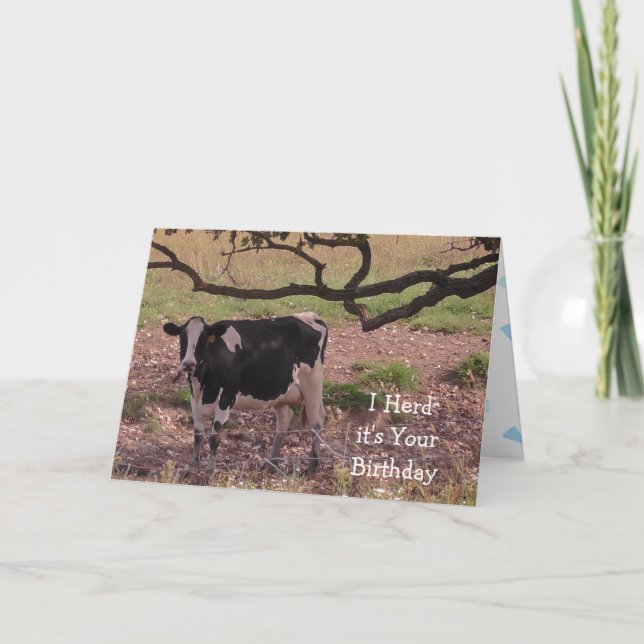 Holy Cow, You're Getting Old, Birthday  Card (Front)