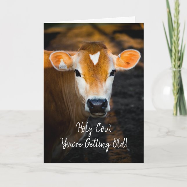Holy Cow You're Getting Old Birthday Card – Funny  (Front)