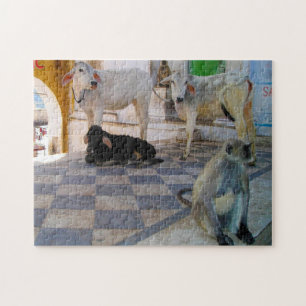 Holy Cows India. Jigsaw Puzzle