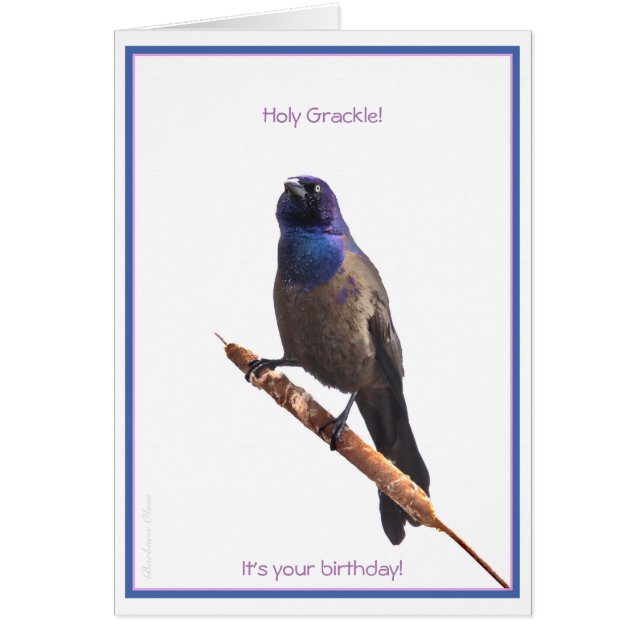 Holy Grackle! It's your Birthday: Cards (Front)