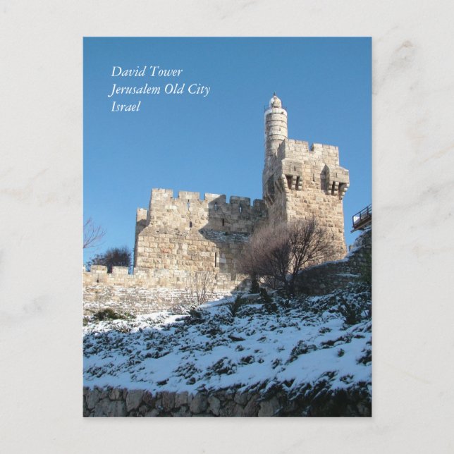 Holy Land Scenes and Images from Israel Postcard (Front)