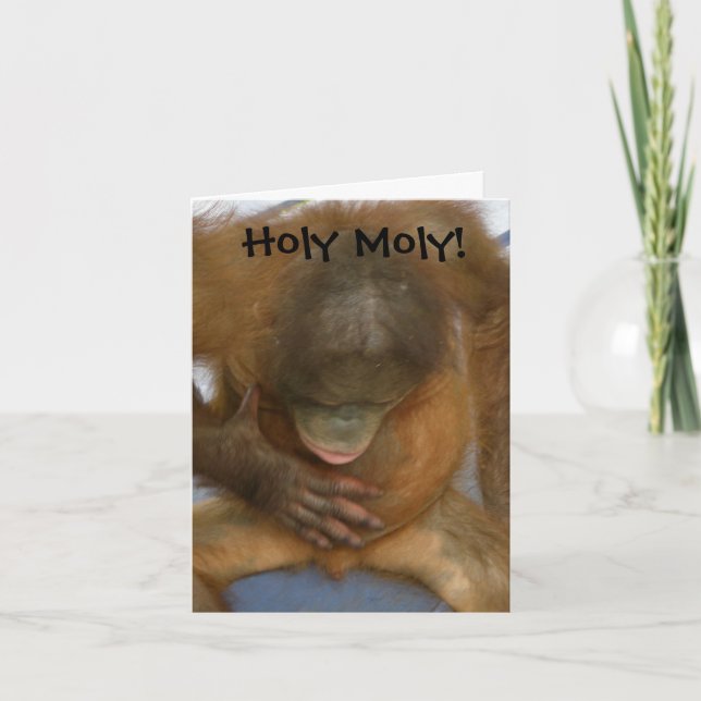 Holy Moly Funny Vasectomy Card (Front)