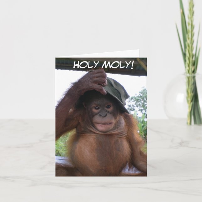 Holy Moly Getting Old Cute Birthday Animal Card (Front)