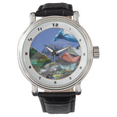 Holy mountain Kailash & Tibet, Buddhism /Himalayas Watch