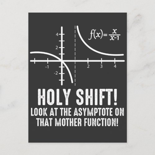 Holy Shift Look At Asymptote On That Function Postcard