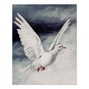 Holy Spirit Dove Religious Confirmation and Peace Poster