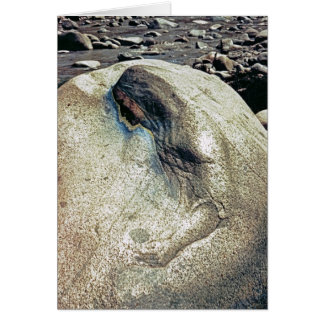 Homage to Andean Women/Folding Card