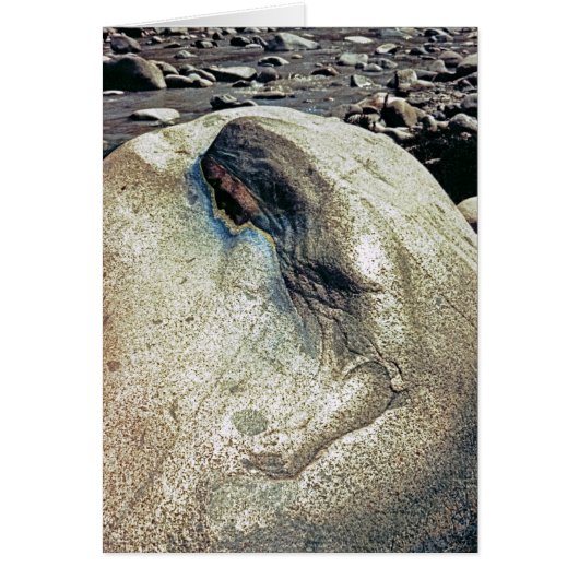 Homage to Andean Women/Folding Card (Front)