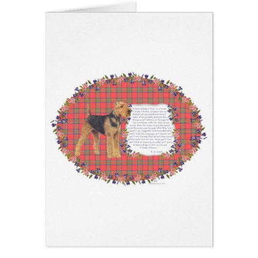 Home Airedale - Welsh - Lakeland (Front)