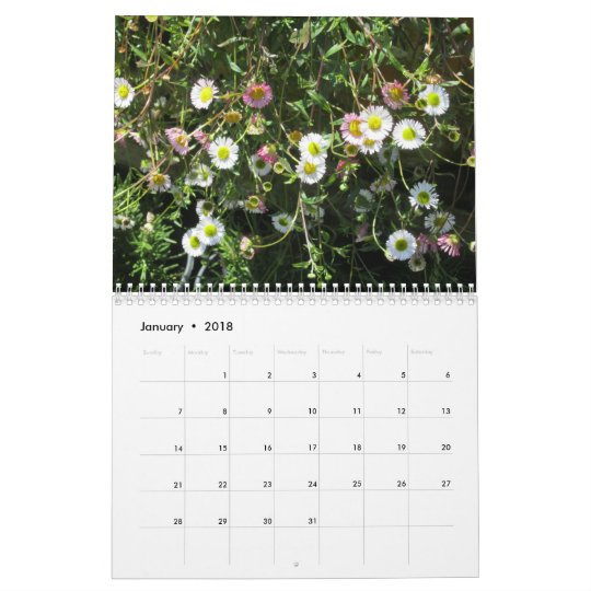 Home and Garden ~ Garden Daisy Calendar