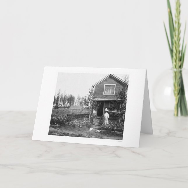 Home Cats Fairbanks Alaska 1916 Card (Front)