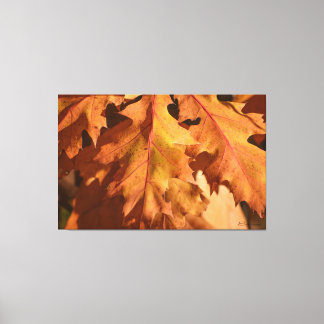 Home Decor Autumnal Leaves Wall Art Print
