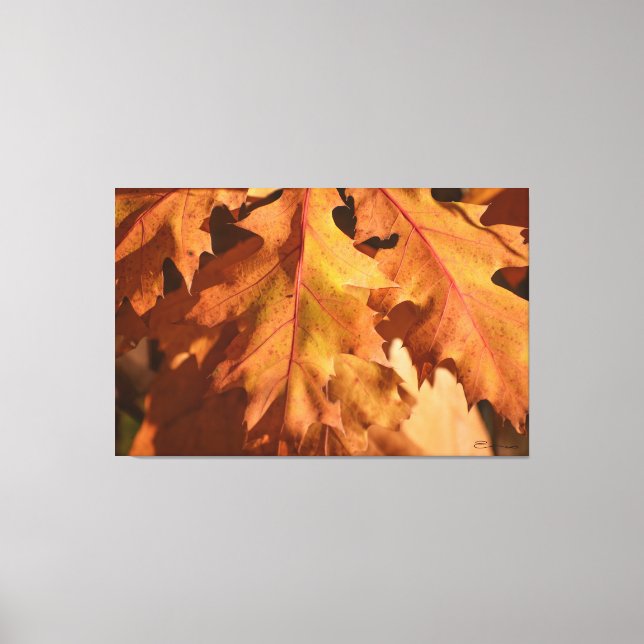 Home Decor Autumnal Leaves Wall Art Print (Front)