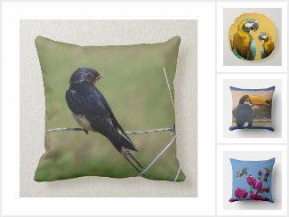 Home Decor: Bird Pillows