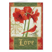 Home for Christmas Amaryllis Love (Front)