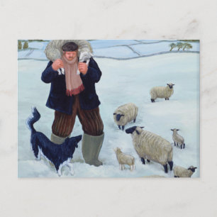 Home from the Fold Postcard