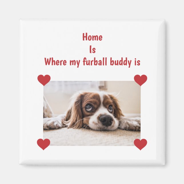 Home Furball Buddy Dog Personalized Photo Hearts Magnet (Front)