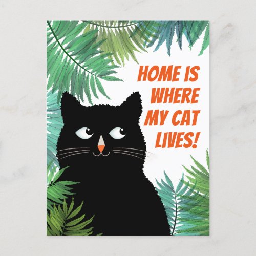 Home is where my cat lives moving announcement postcard