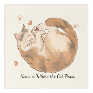 Home Is Where the Cat Naps | Acrylic Wall Art