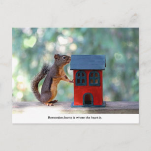 Home is Where the Heart Is Squirrel Postcard