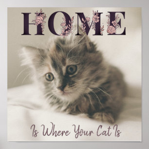 Home Is Where Your Cat Is Poster
