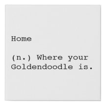 Home is Where Your Goldendoodle Is