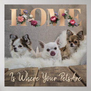 Home Is Where Your Pets Are Poster