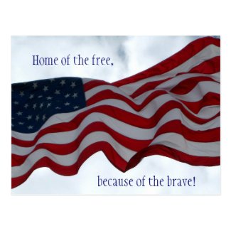 Home of the free ... Veterans Day Postcard