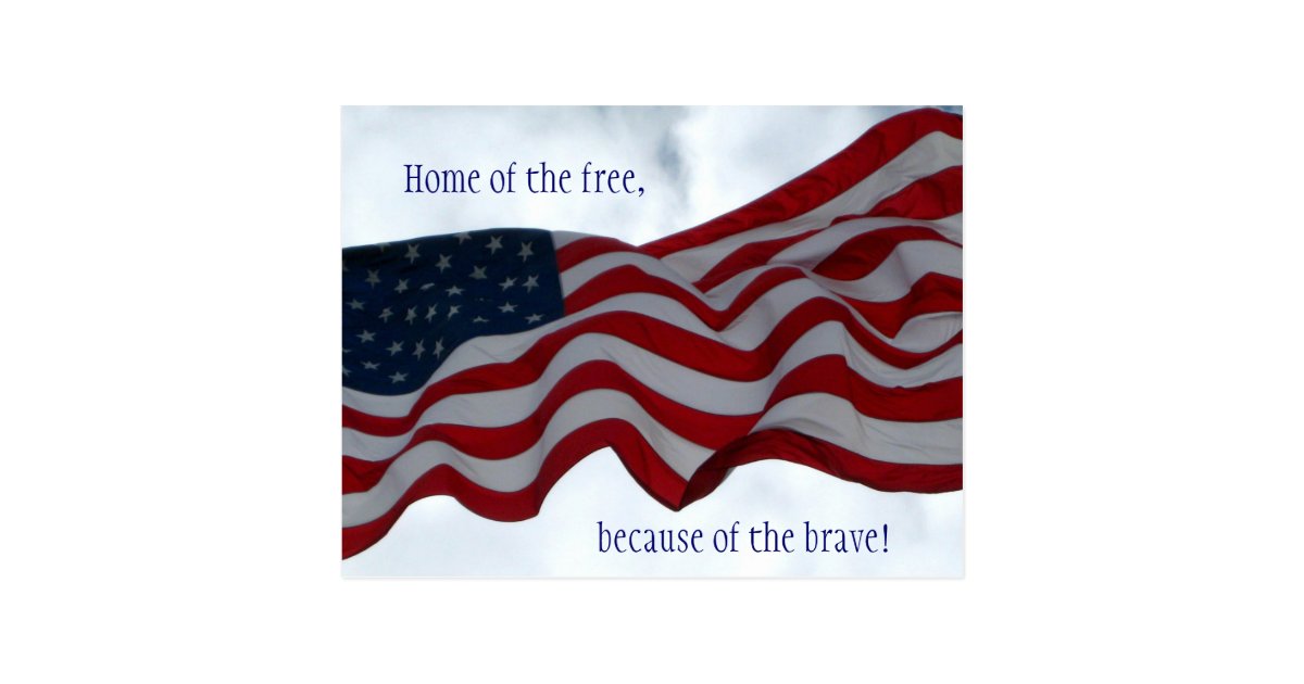 Home of the free Veterans Day Postcard