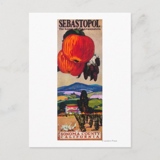 Home of the Gravenstein Poster Postcard (Front)