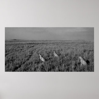 Home of the Three Brothers Poster