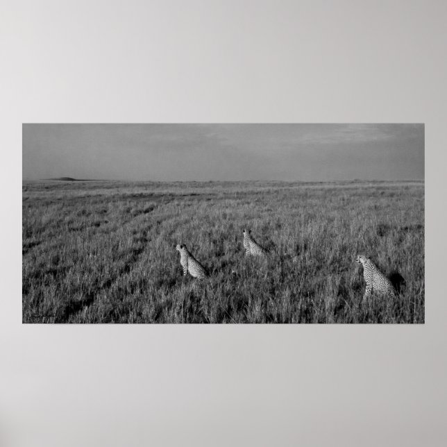 Home of the Three Brothers Poster (Front)