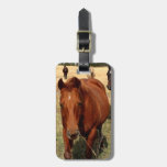Home On The Range Luggage Tag at Zazzle