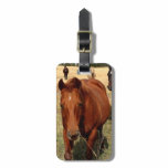 Home on the Range Luggage Tag