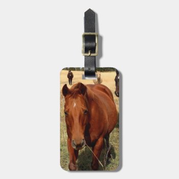 Home On The Range Luggage Tag by HorseStall at Zazzle