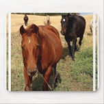 Home on the Range Mouse Pad