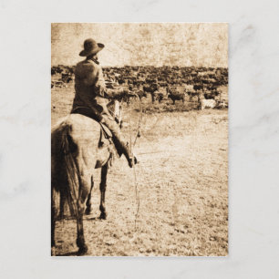 Home on the Range Vintage Lone Cowboy Rancher Postcard