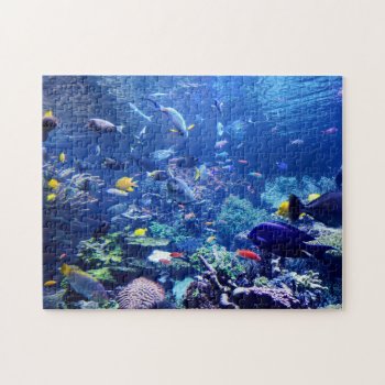 Home School Of Fish Jigsaw Puzzle by hawkysmom at Zazzle