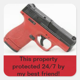 Home Security Sticker