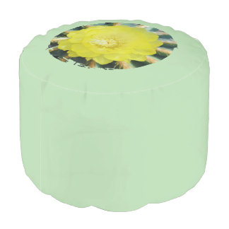 Home sweet home stool with yellow cactus blossom pouf
