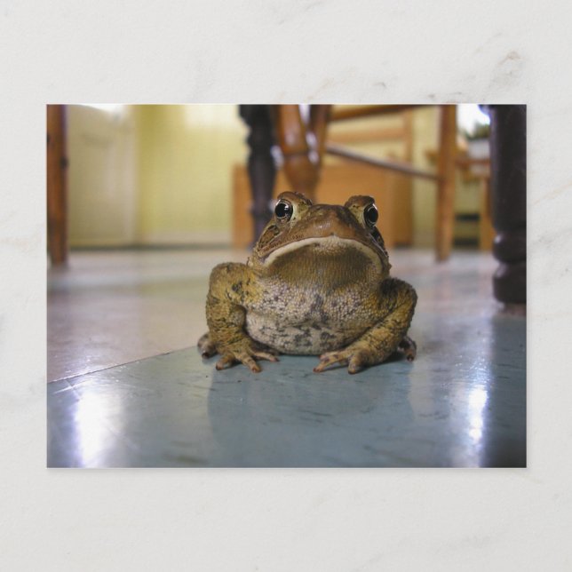 Home toad postcard (Front)