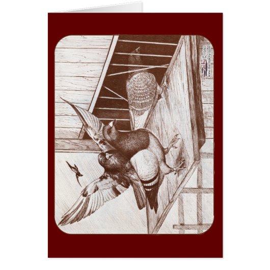 Homecoming Homers (Front)