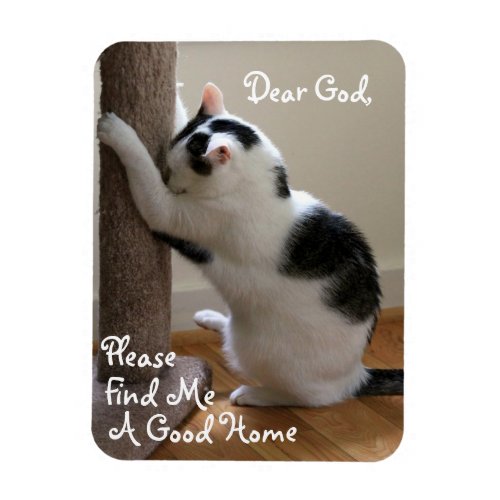 Homeless Cats Prayer _ Magnet