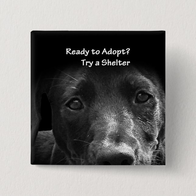 homeless pet adoption button dog (Front)