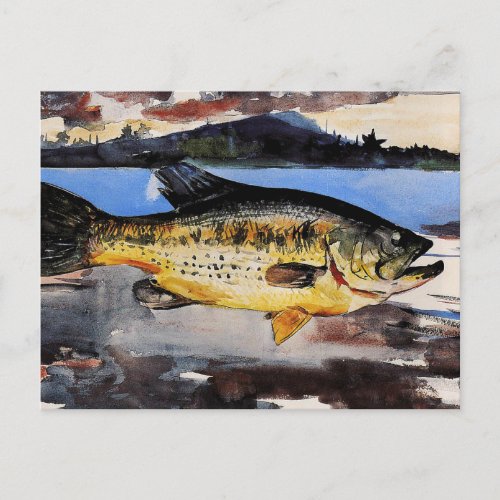 Homer _ Bass Postcard